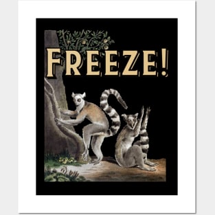 Freeze! Posters and Art